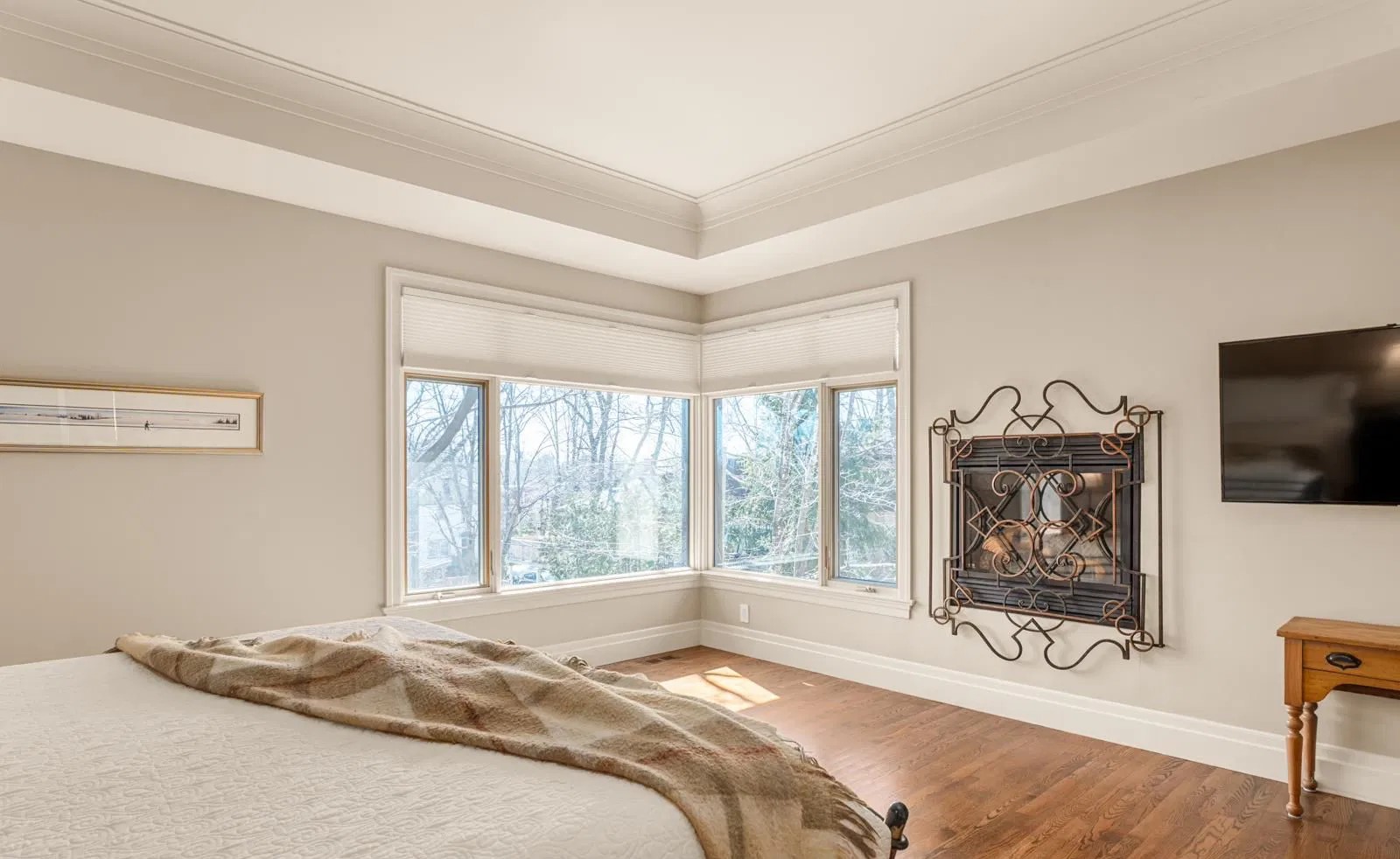 Primary bedroom fireplace