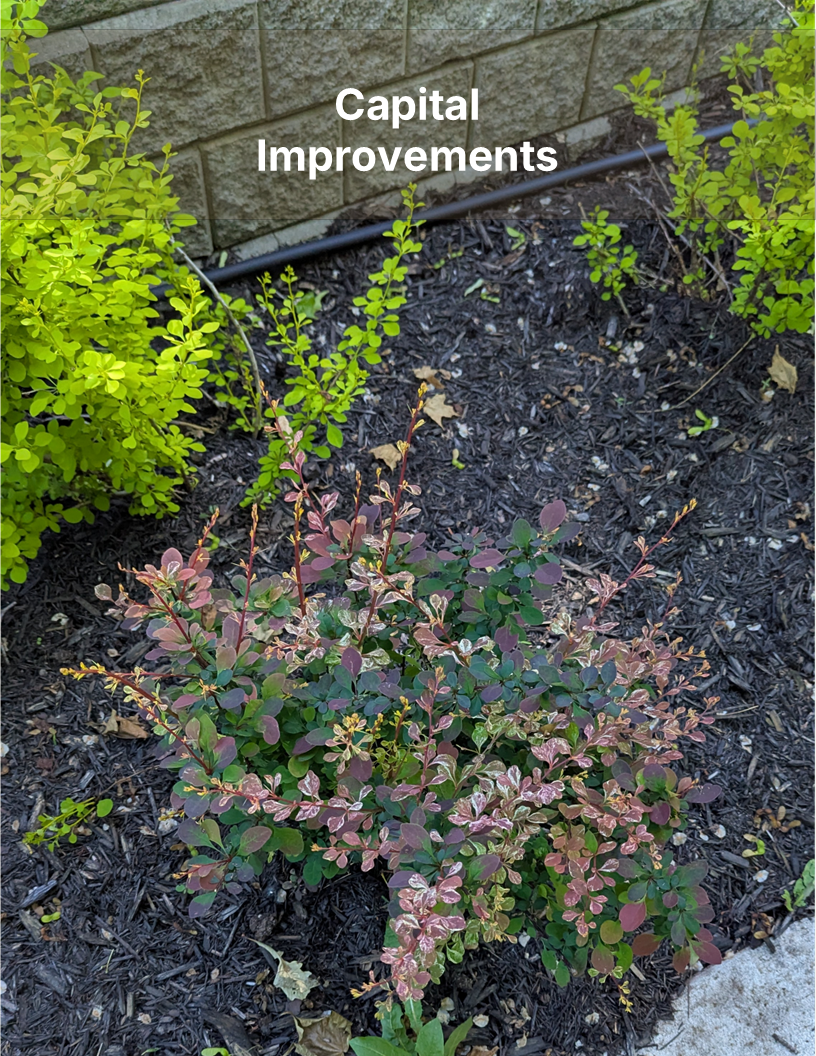 Capital Improvements